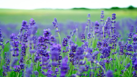1068361 (a): :1920x1080